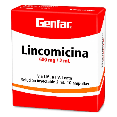 LINCOMICINA (GF) 600 MG / 2 ML X 10 AMP