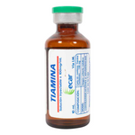 TIAMINA (ECAR)  AMP. 10 ML X 100 MG/ML