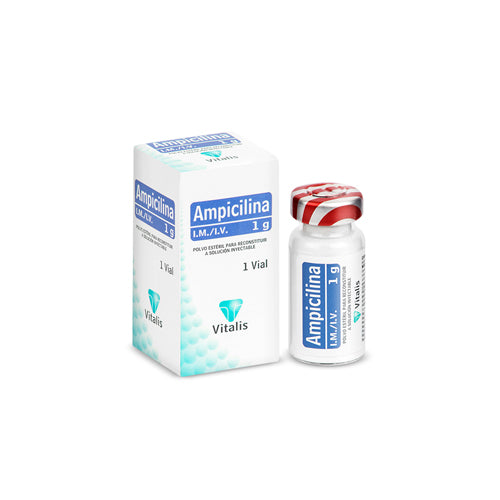 AMPICILINA (VT) 1 G X 1 AMP
